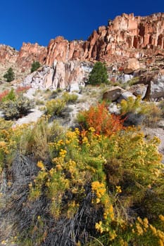 Rocky scenery and wildflowers at Fremont Indian State Park of Utah.