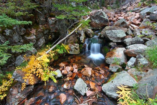 Cascades of a small stream in the Lewis and Clark National Forest of Montana.