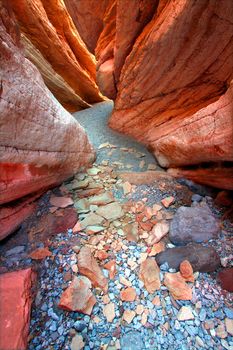 Anniversary Narrows slot canyon of the Lovell Wash in southern Nevada.