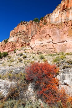Wildflowers grow beneath steep cliffs at Fremont Indian State Park of Utah.
