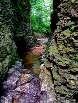 Sinuous narrow gorge running through the Perry Farm Park of Bourbonnais Illinois.