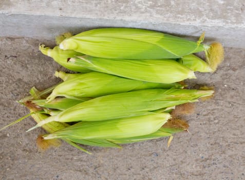 corn on the concrete