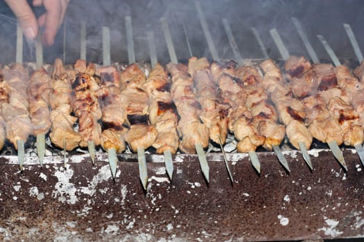 Pieces of marinated pork and chicken on barbecue 