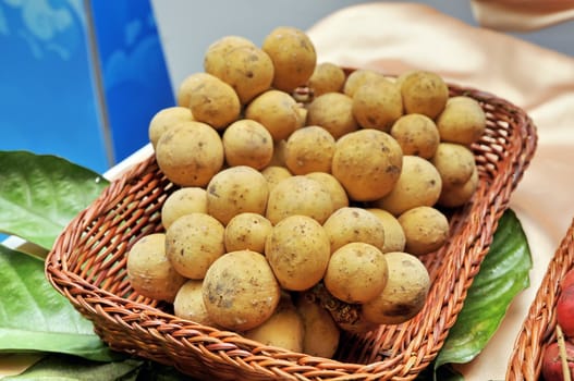 Longkong fruit ,Thai fruit