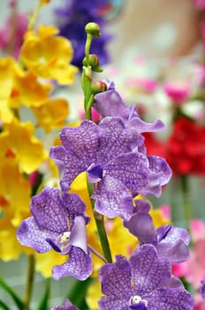 Beautiful bouquet of artificial Orchid flowers