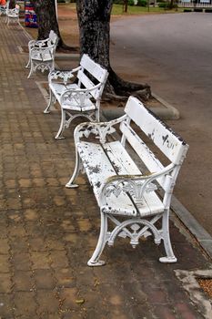 Chair in the garden