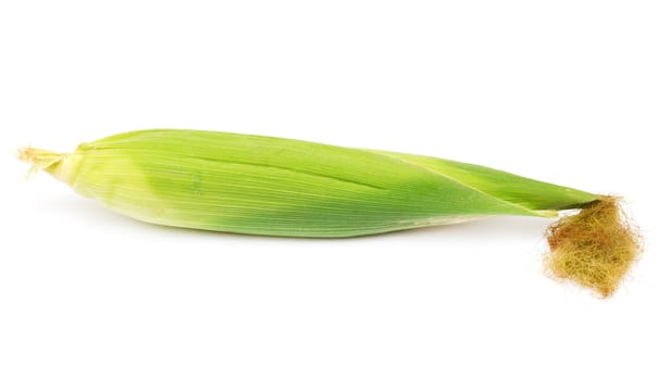 corn on a white background