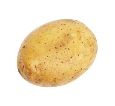 One potato isolated, object on white background 