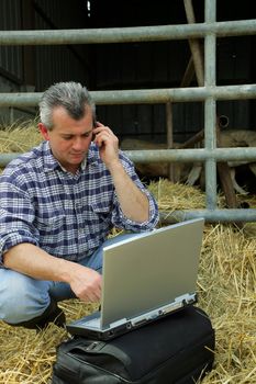 Farmer in a barn with his laptop