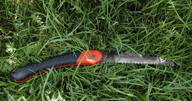 garden saw