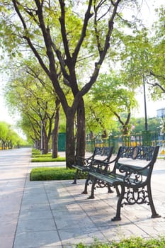 bench in park with tree and grass