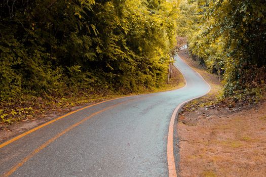 A curving road through a forest in fall.