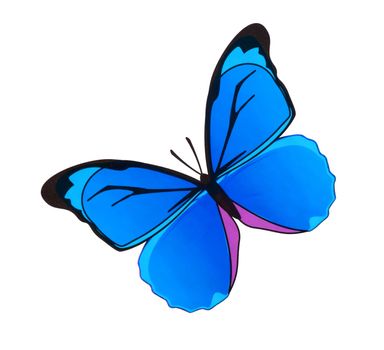 Paint watercolor butterfly on white background
