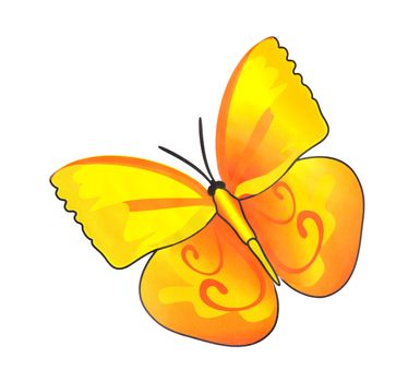 Paint watercolor butterfly on white background
