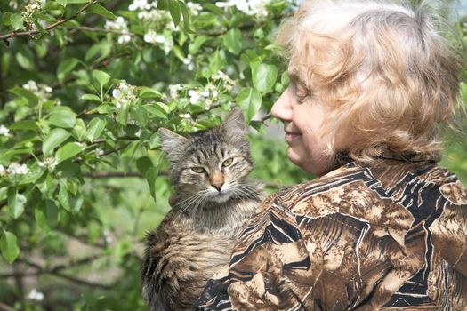 The old woman holds on hands cat against a blossoming tree