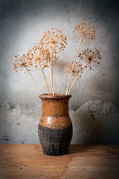 Old jug with dry flower against a cement wall