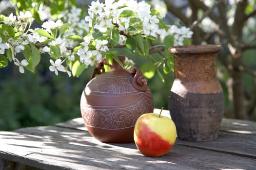 Jugs and apple on  background of a blossoming tree