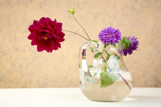 Asters and  peony in  glass jug on a table