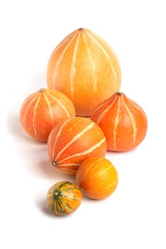 row of pumpkins on a white background