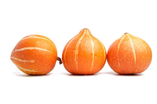 row of pumpkins on a white background
