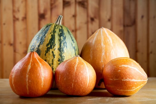 Vegetable marrow and pumpkins against a board wall