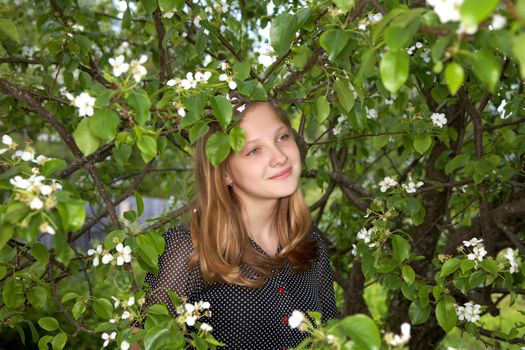 The girl teenager among foliage of a blossoming pear