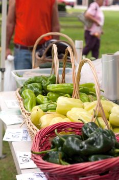 Farmers market baskets on a table full with fresh organic produce. Shallow depth of field.