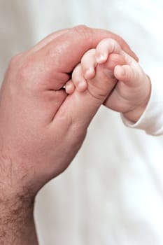 small handle of the baby and big man's hand on a light neutral background