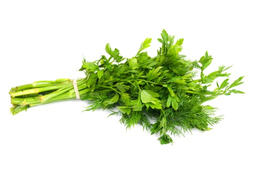 Dill and parsley isolated on a white background 