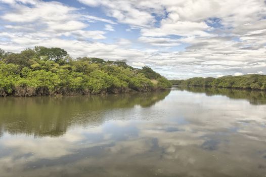 Tempisque River, Palo Verde National Park, Costa Rica.