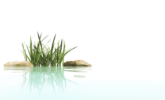 Small island from stones and grasses in an environment of water