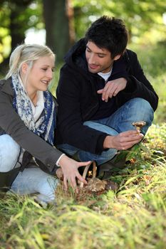 Couple gathering mushrooms in park