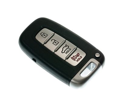Black modern car door opener and keyless entry device