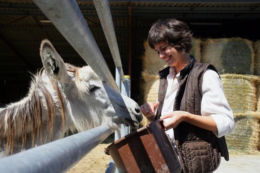 female farmer feeding donkey