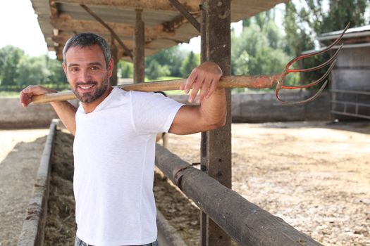 Farmer stood cleaning animal enclosure with pitch fork