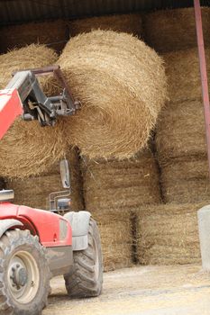 Tractor lifting bail of hay