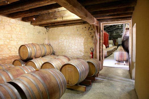 Rows of barrels in a cellar