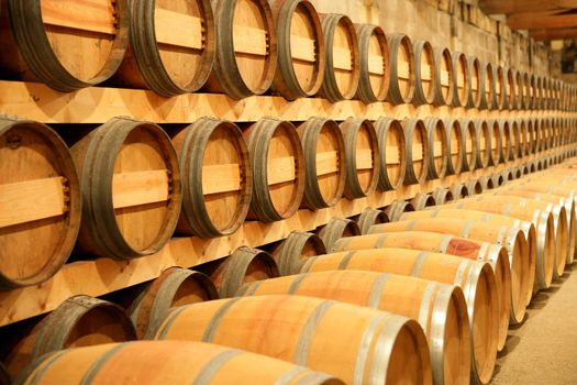 Barrels in a cellar