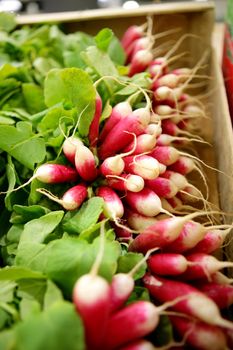 Box of radishes