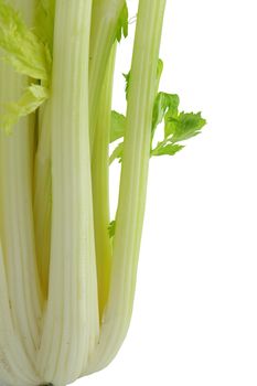 Celery