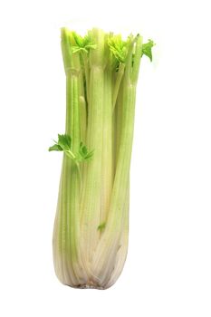 Celery