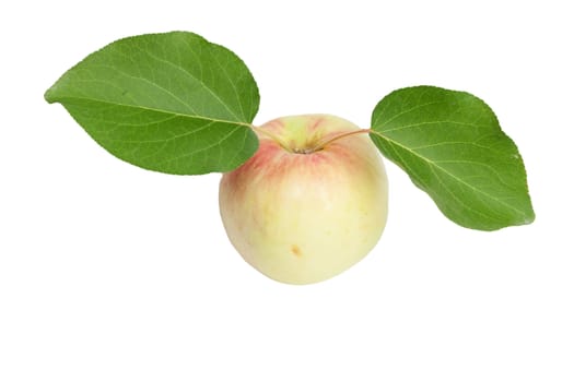 Apple with leaf on white background 