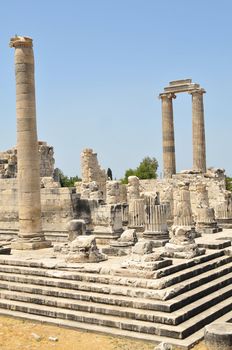 Temple of Apollon - Didyma / Turkey