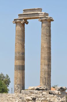 Temple of Apollon - Didyma / Turkey