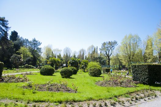 Sunny day in Riviera park in city Sochi