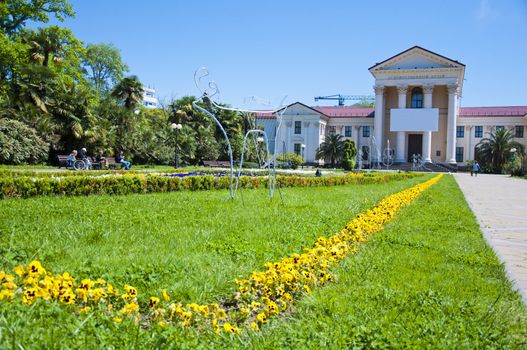 The city lawn in the square of Sochi