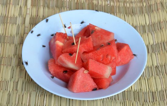 bad  food for your health ,house fly on watermelon