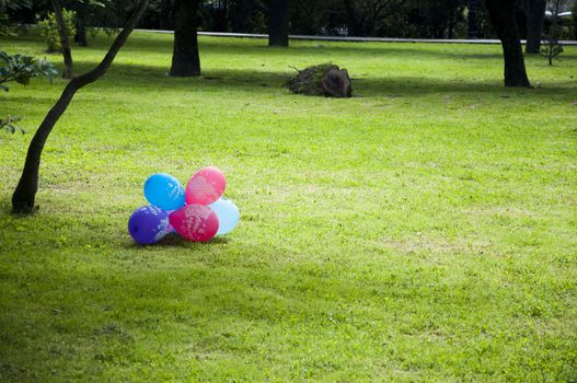 Color baloon on the green lawn in park