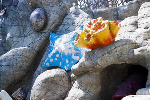 Seastar Sea shell pearls in building aquarium