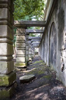 Mysterious narrow corridor of the columns in the park